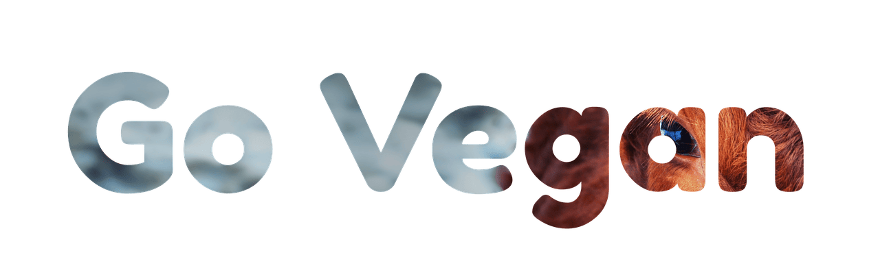 entdecken sie die vorteile des veganismus: alles über vegane ernährung, gesunden lebensstil, tierschutz und nachhaltige alternativen für ihren alltag.