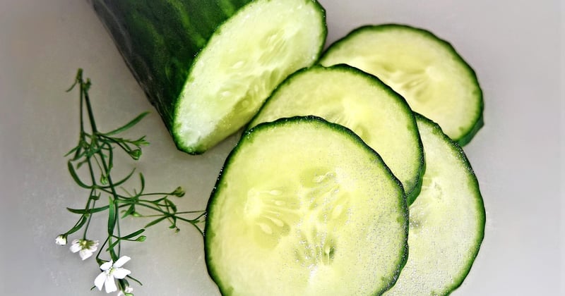 Nährwert Gurken: So gesund sind die grünen Kalorienwunder