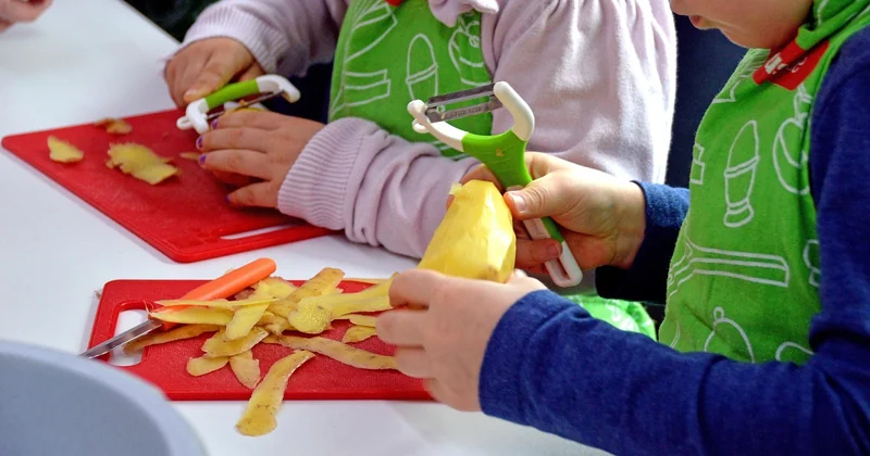 Zwiebel und Kartoffel: zwei Hausmittel, die ich nicht empfehle